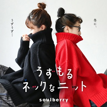 soulberry ~ lbNȃjbg